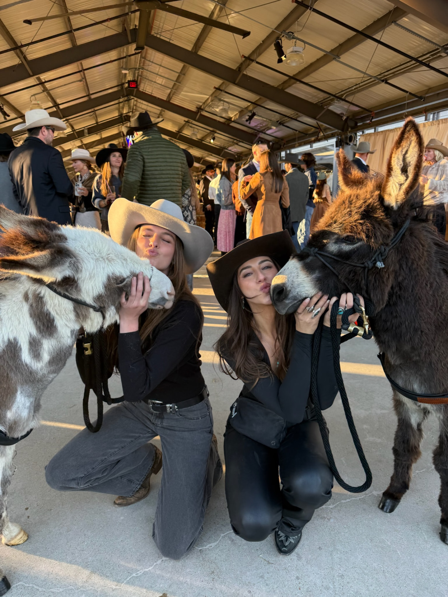 Handlers sharing a playful moment with Peaches and Hickory