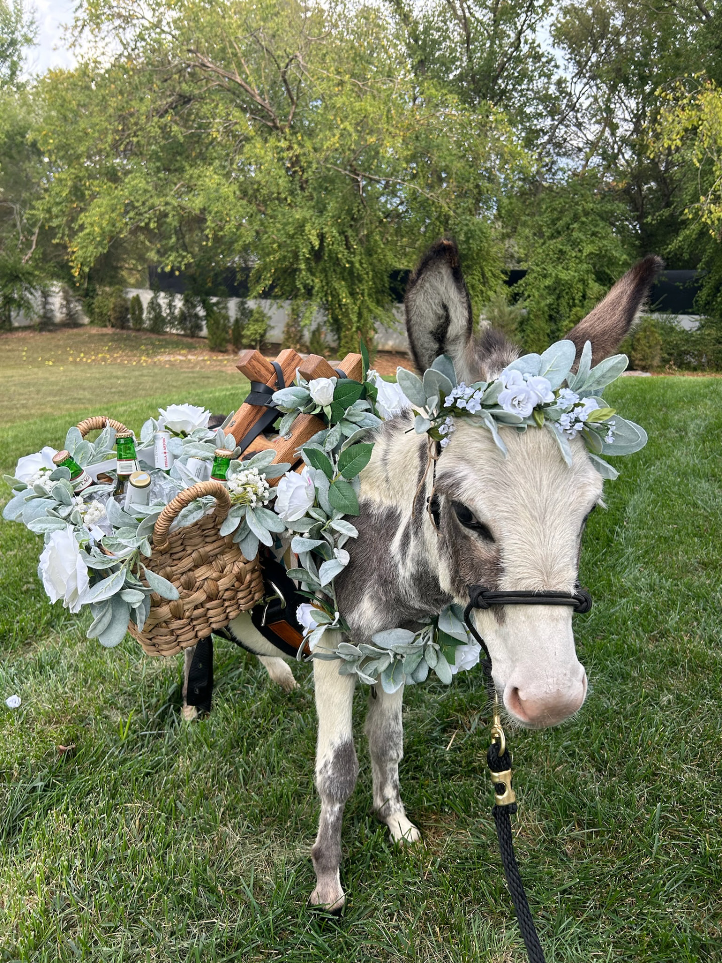 Peaches carrying drinks in flower-trimmed baskets