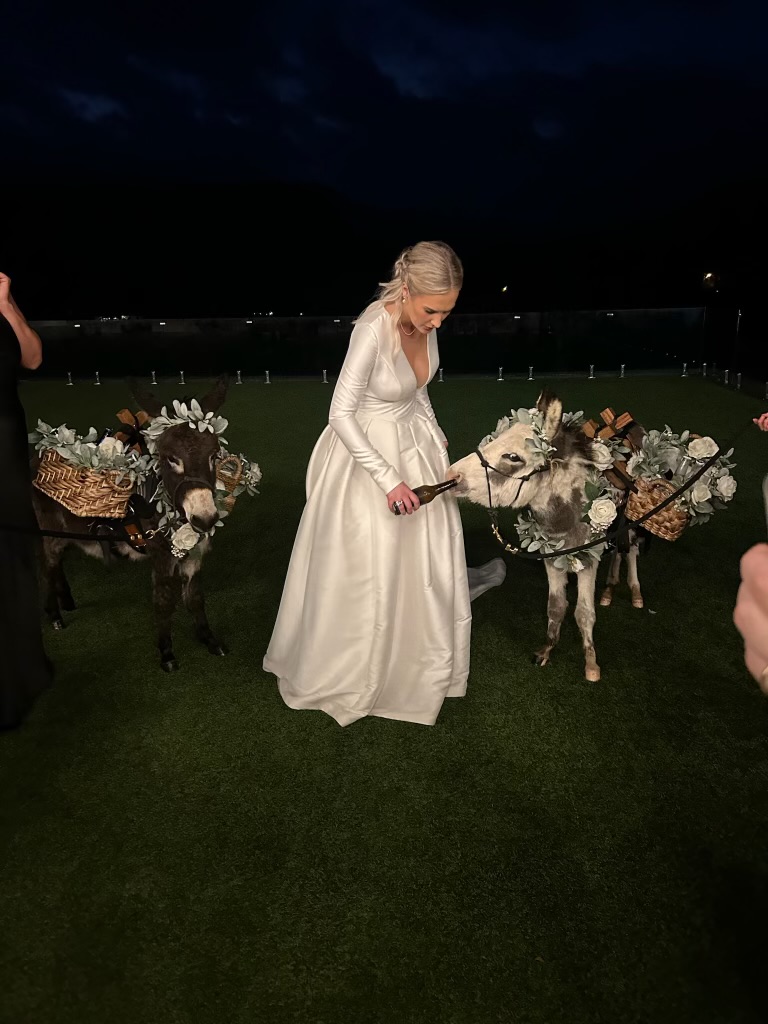 Bride offering Peaches and Hickory a treat
