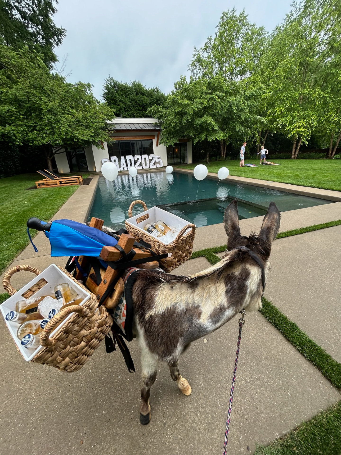 Peaches carrying chilled drinks beside a pool