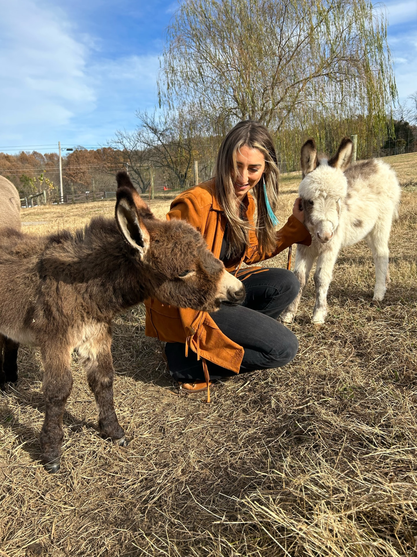 A handler spending time with two baby burros