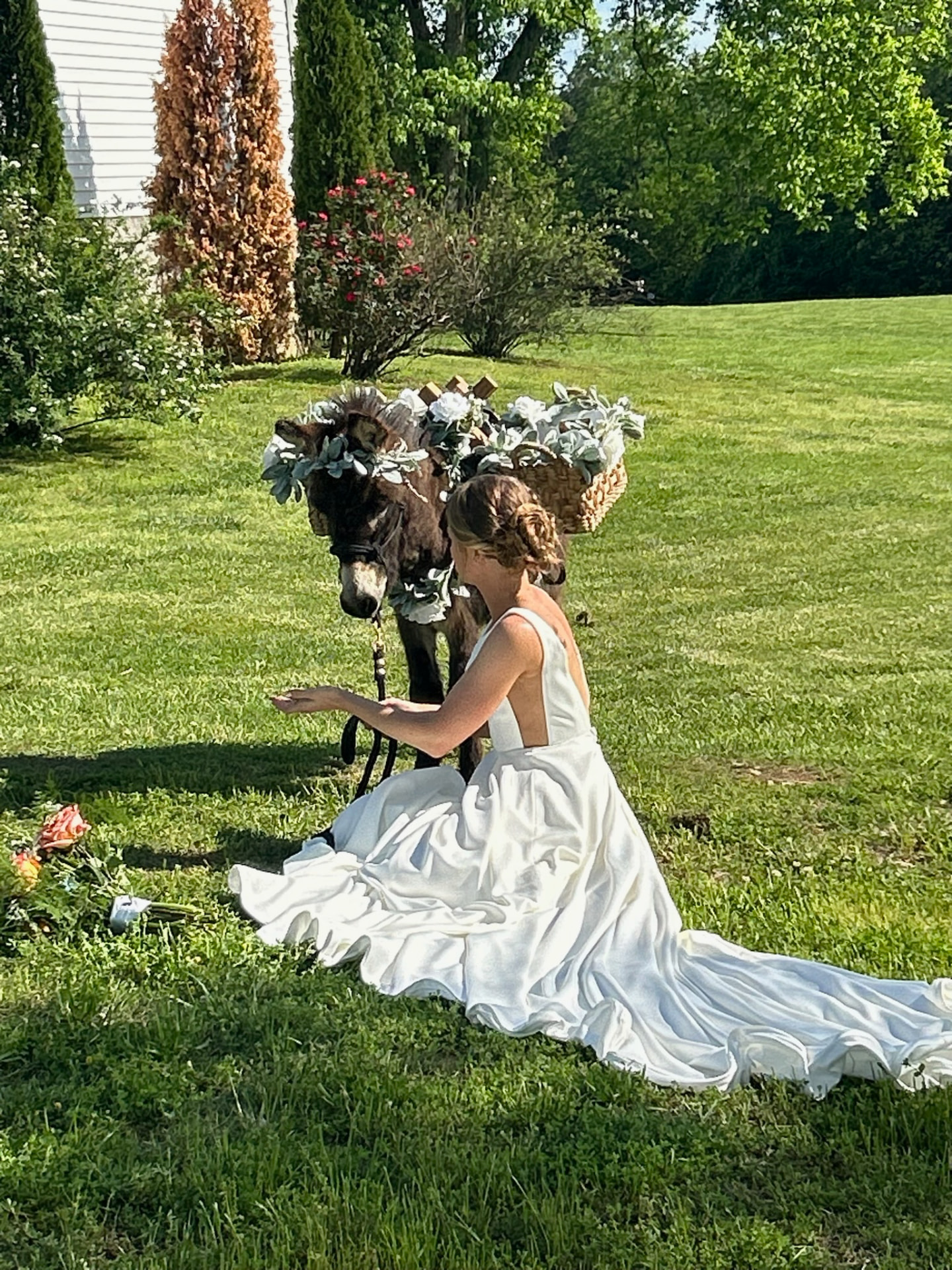 Bride visiting a flower-dressed burro on the lawn