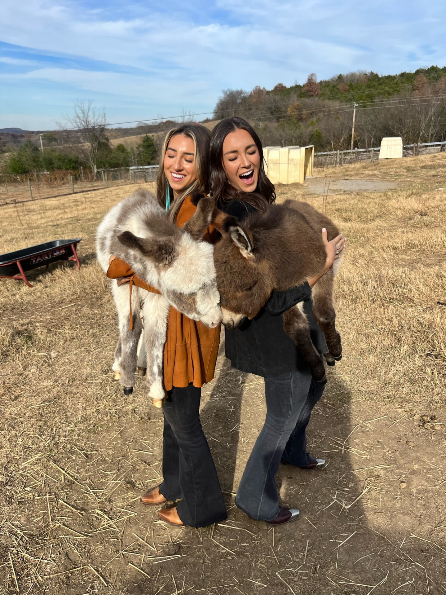Two women holding baby burros at the farm