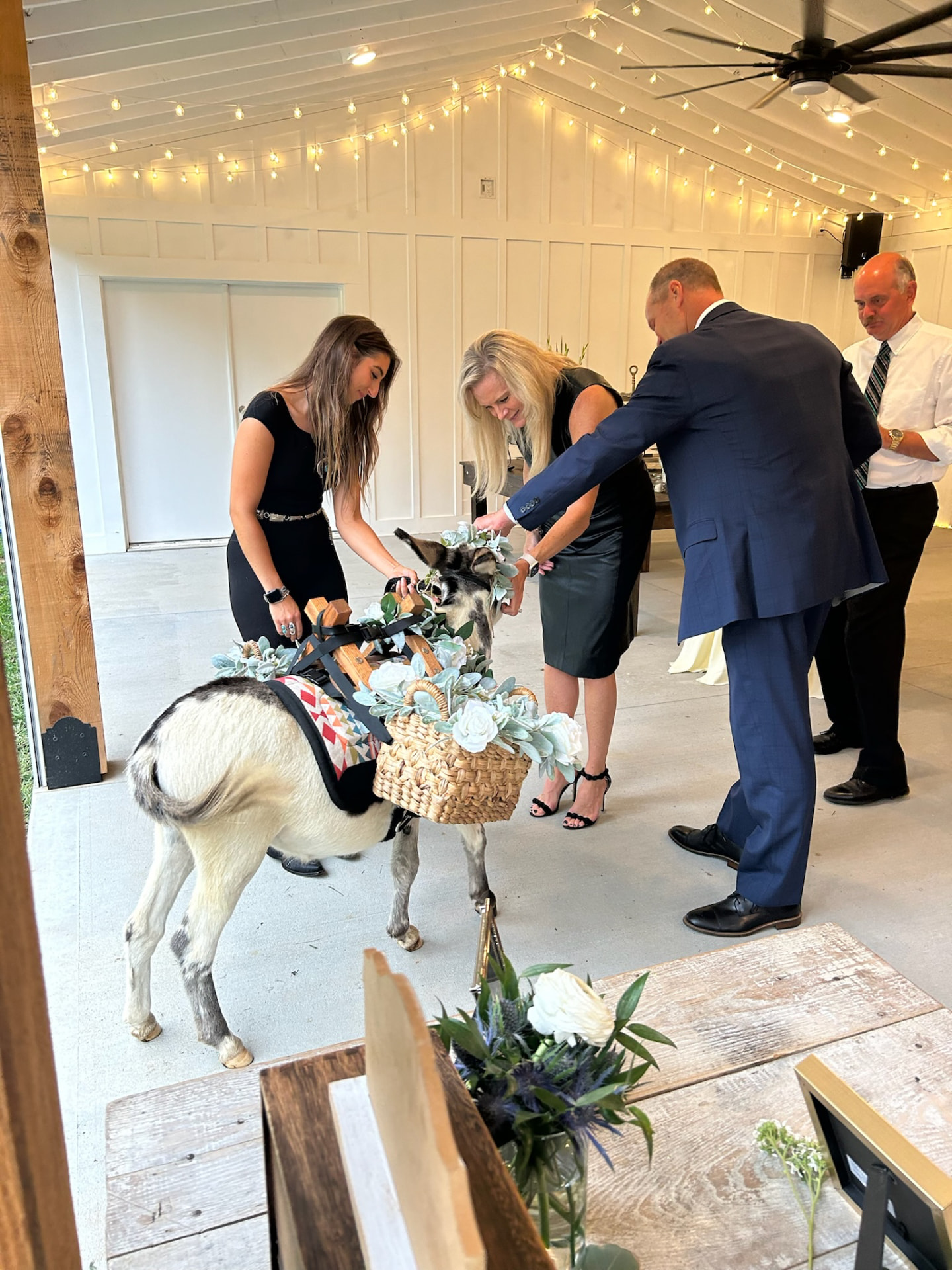 Wedding guests enjoying drinks and meeting Peaches